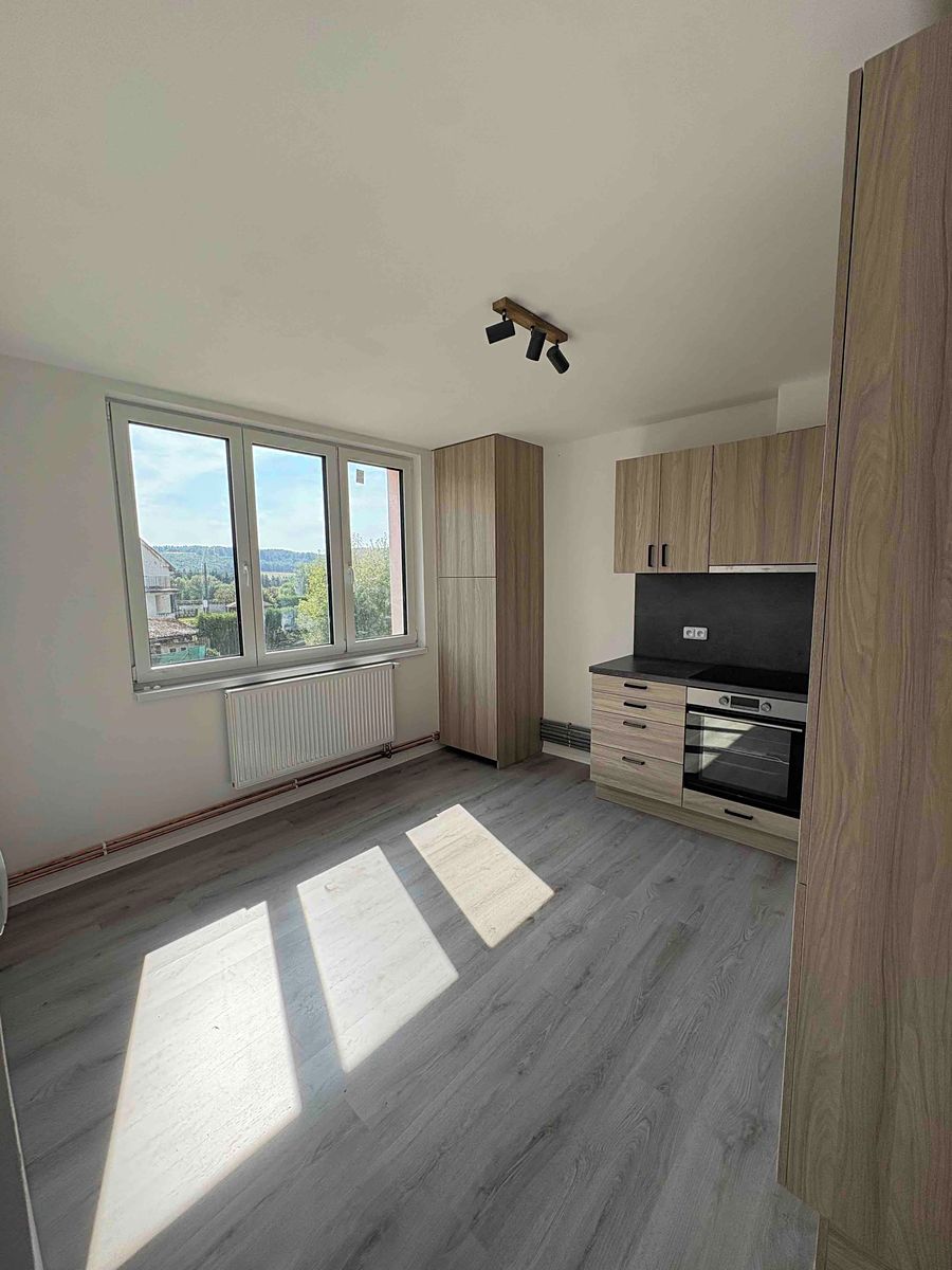 Pronájem bytu 1+1 39 m² – fotografie 5