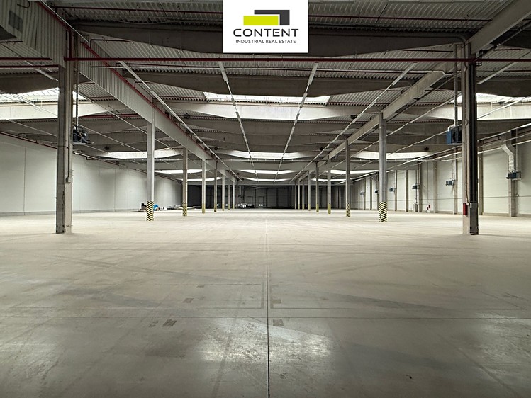 Комерційне приміщення в оренду, 8 000 м² (4 з 14)