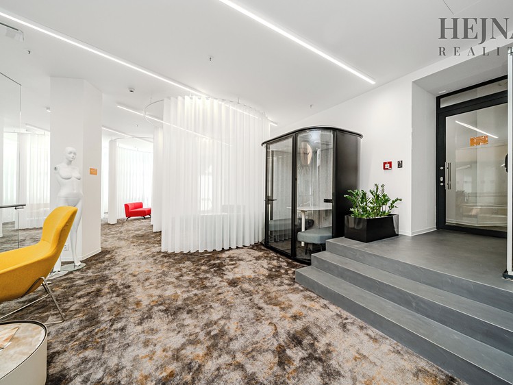 Pronájem komerčního prostoru, 802 m² (13 z 20)