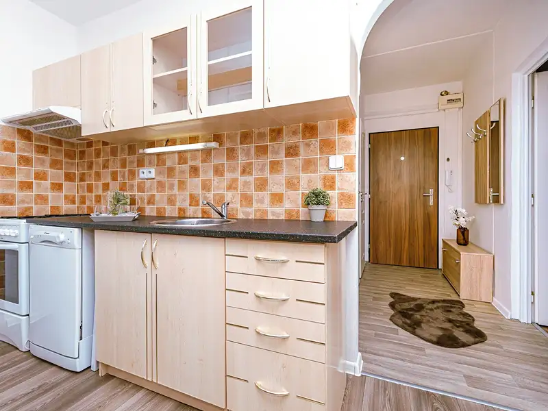 Prodej bytu 1+1 31 m², Pardubice – náhled fotky 2