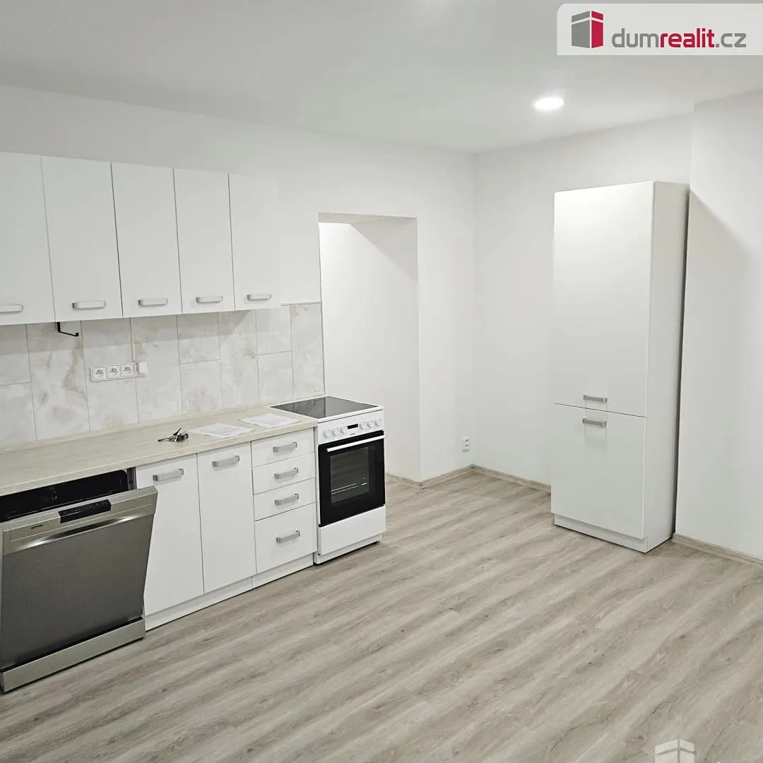Pronájem bytu 1+1 58 m²