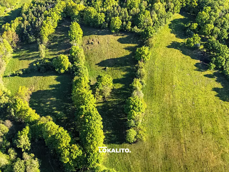 Prodej pole 10966 m², Nechvalice – náhled fotky 3