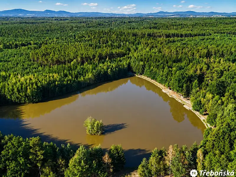 Prodej rybníku (vodní plochy) 49156 m², Jílovice – náhled fotky 1