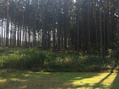 Grundstück zum Kauf, 1.037 m² (3 von 4)