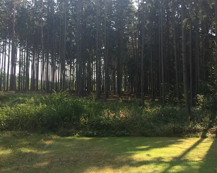 Prodej pozemku 1037 m², Sentice – náhled fotky 3