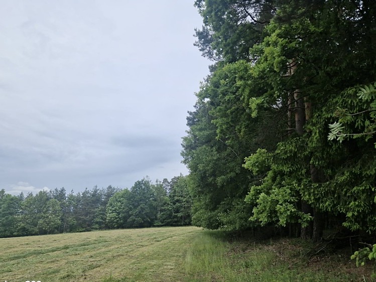 Grundstück zum Kauf, 4.924 m² (4 von 9)