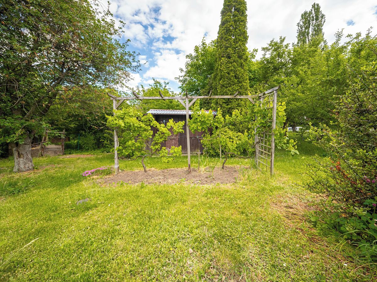 Pronájem zahrady 508 m² – fotografie 5