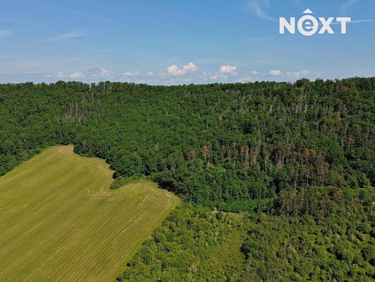 Grundstück zum Kauf, 3.149 m² (16 von 19)