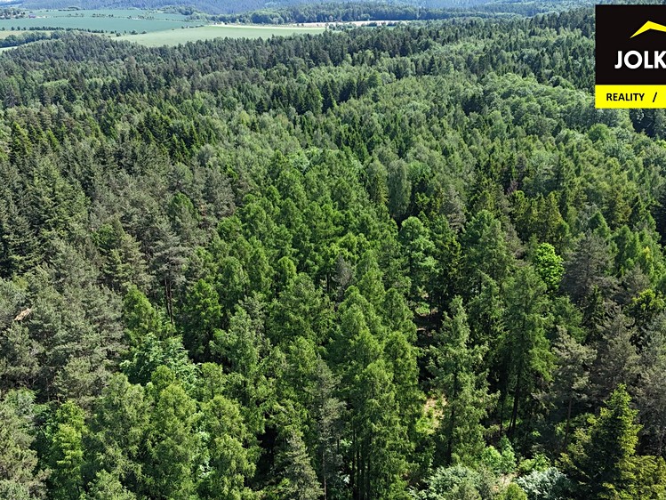 Grundstück zum Kauf, 13.182 m² (10 von 15)