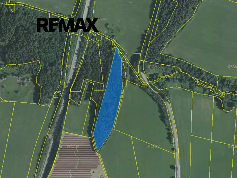 Prodej lesa 15364 m², Dolní Dvořiště – náhled fotky 2