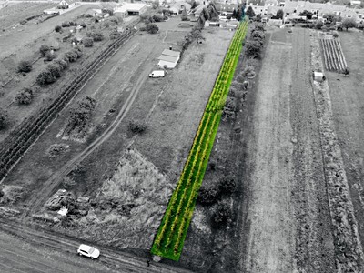 Prodej pozemku, 1 237 m² (2 z 12)