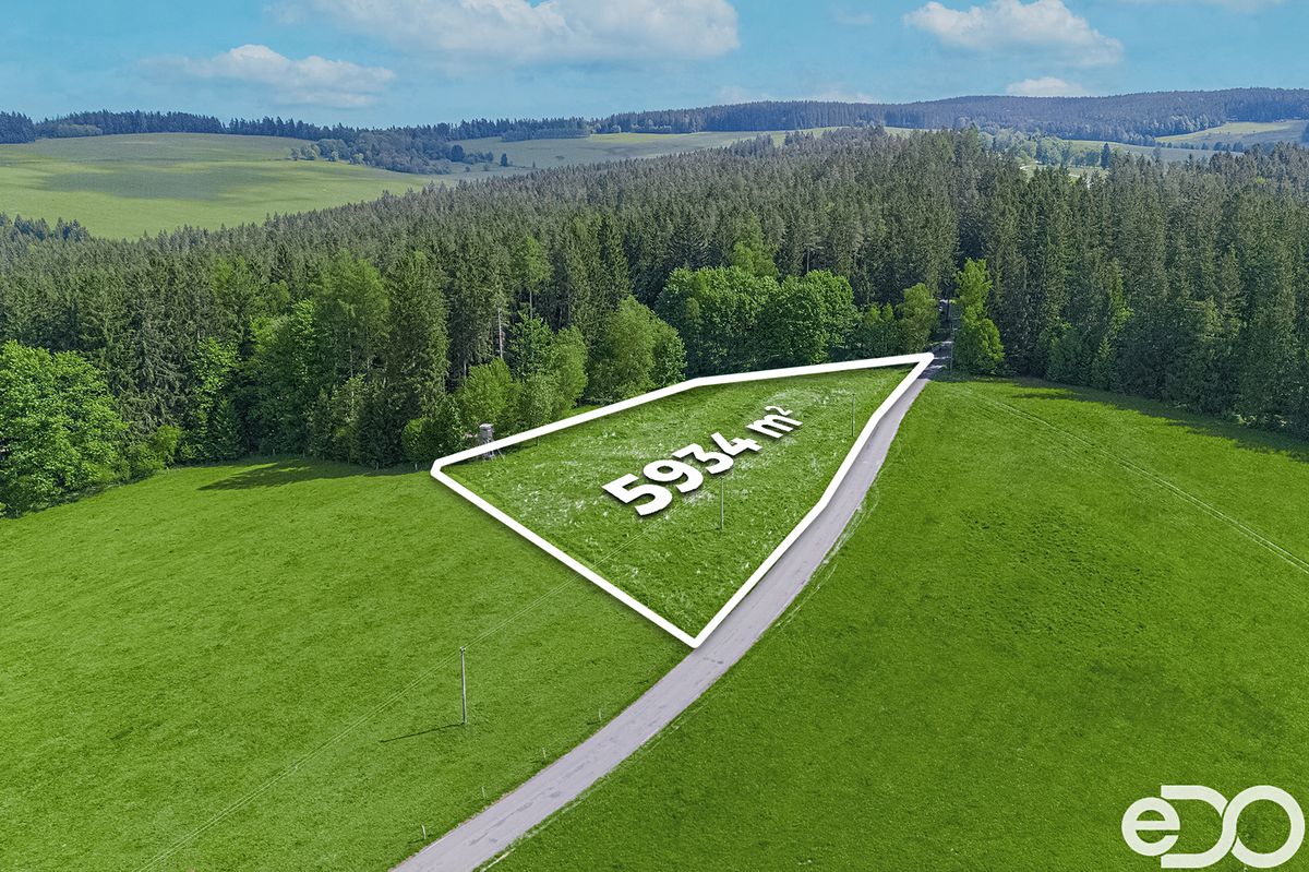 Prodej stavebního pozemku 5934 m² – fotografie 3