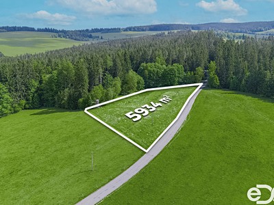 Prodej pozemku, 5 934 m² (3 z 14)