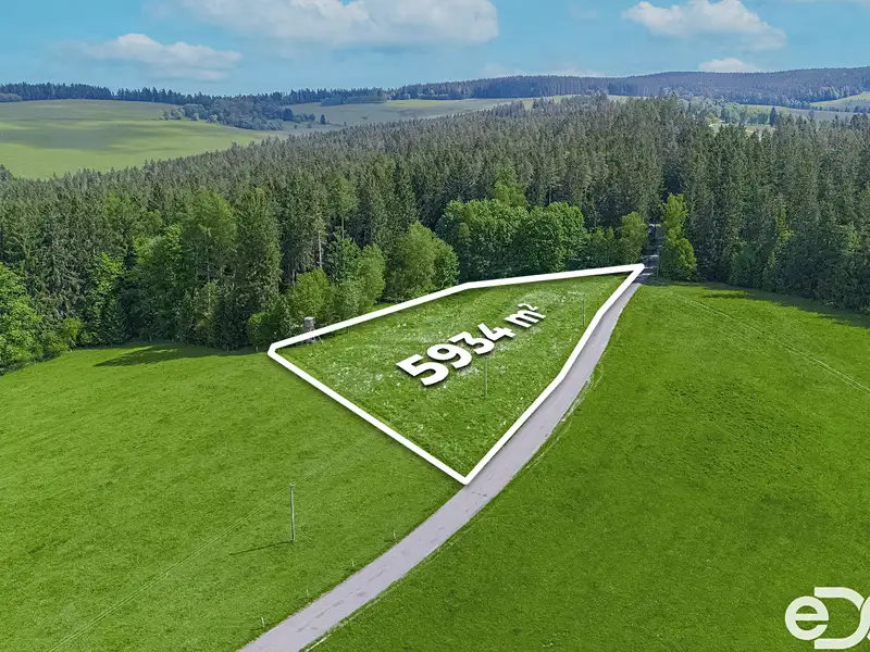 Prodej stavebního pozemku 5934 m², Frymburk – náhled fotky 3