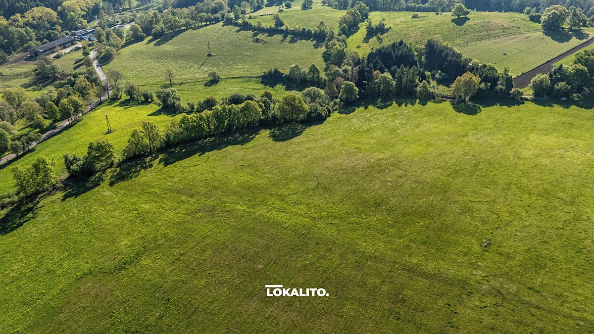 Prodej komerčního pozemku 18653 m² – fotografie 4