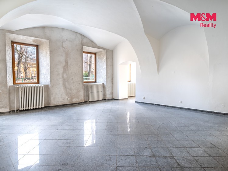 Prodej komerčního prostoru, 615 m² (25 z 30)