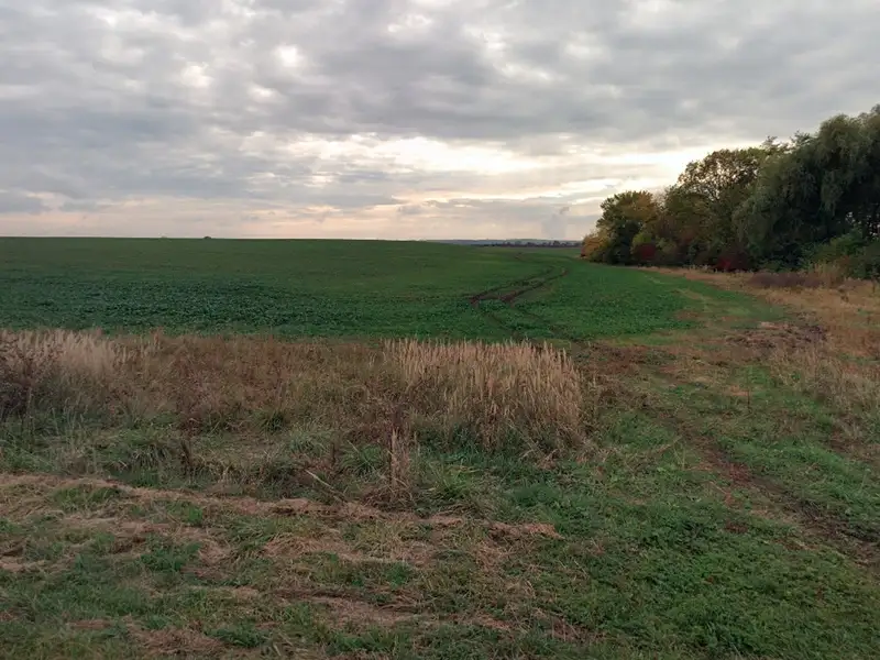 Prodej pozemku 12734 m², Žiželice – náhled fotky 2