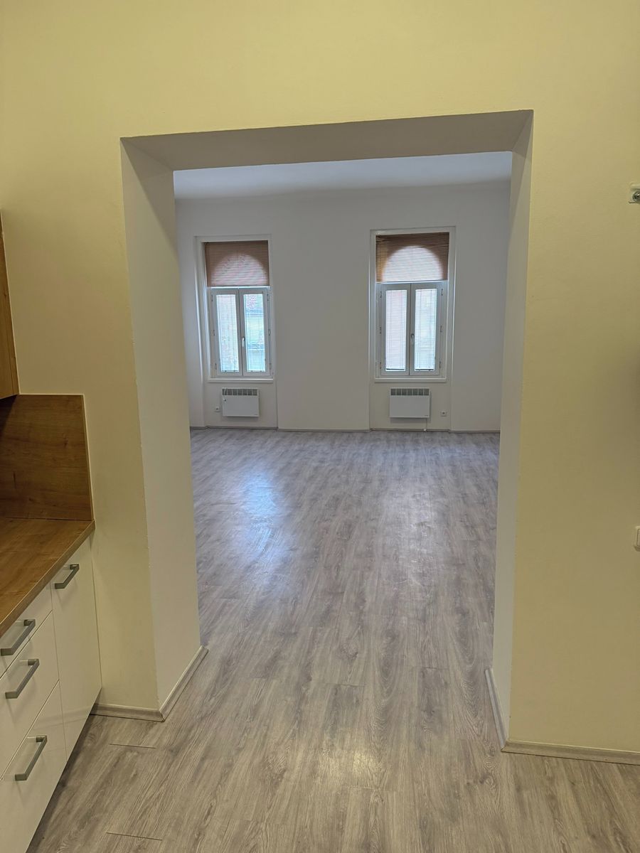Pronájem bytu 1+1 42 m² – fotografie 3