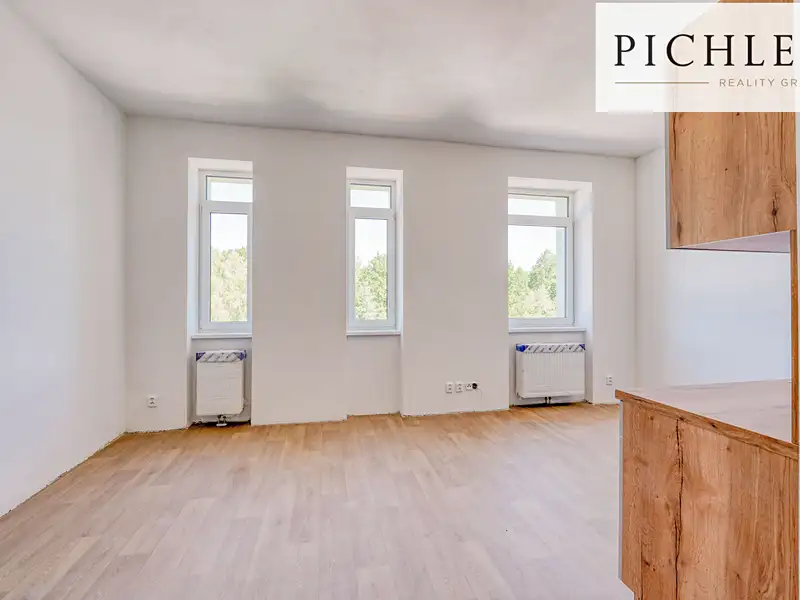 Pronájem bytu 1+kk 35 m², Horní Bříza – náhled fotky 3