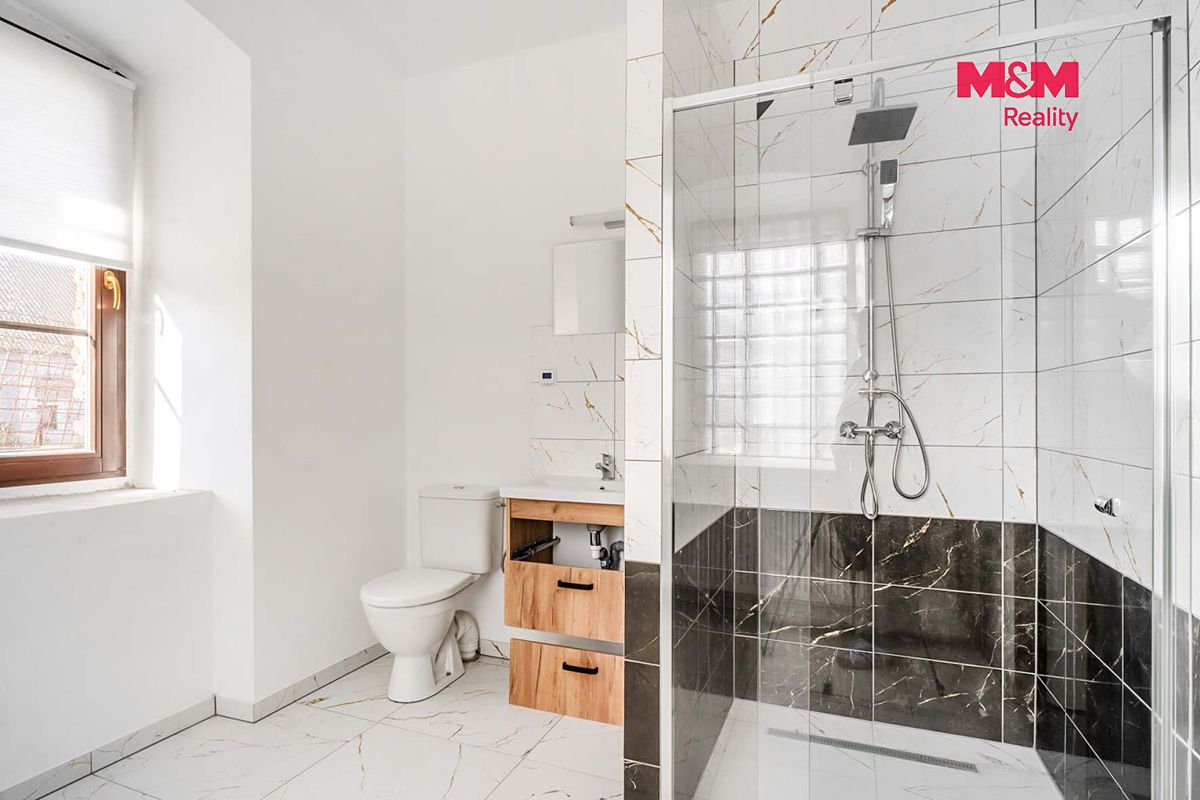 Prodej rodinného domu 300 m², pozemek 608 m² – fotografie 4