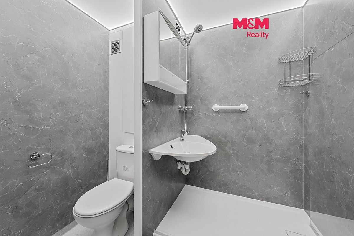 Pronájem bytu 1+1 42 m²