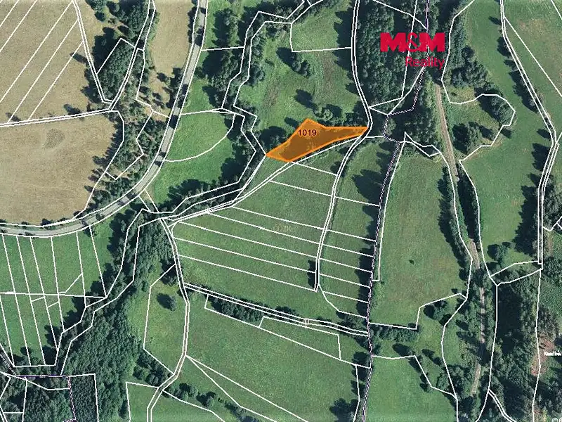 Prodej louky 2455 m², Bernartice – náhled fotky 1