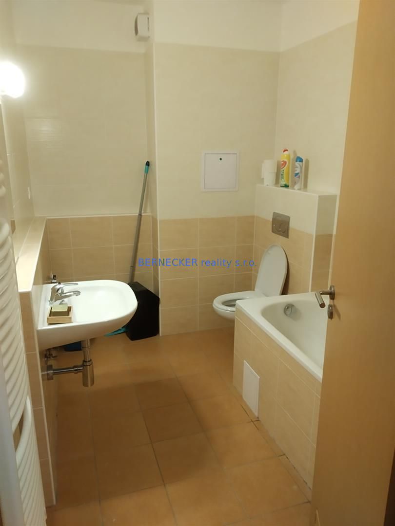 Pronájem bytu 1+kk 30 m² – fotografie 5