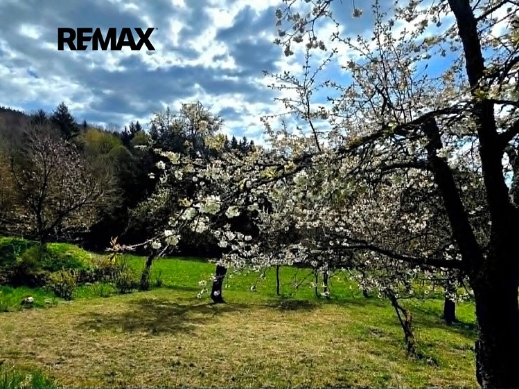Prodej domu, 430 m² (50 z 64)