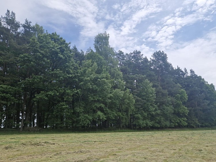 Grundstück zum Kauf, 4.924 m² (6 von 9)