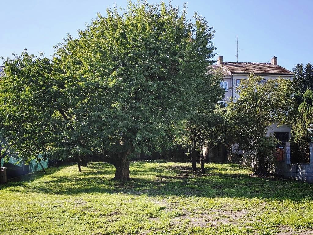 Prodej stavebního pozemku 782 m² – fotografie 3