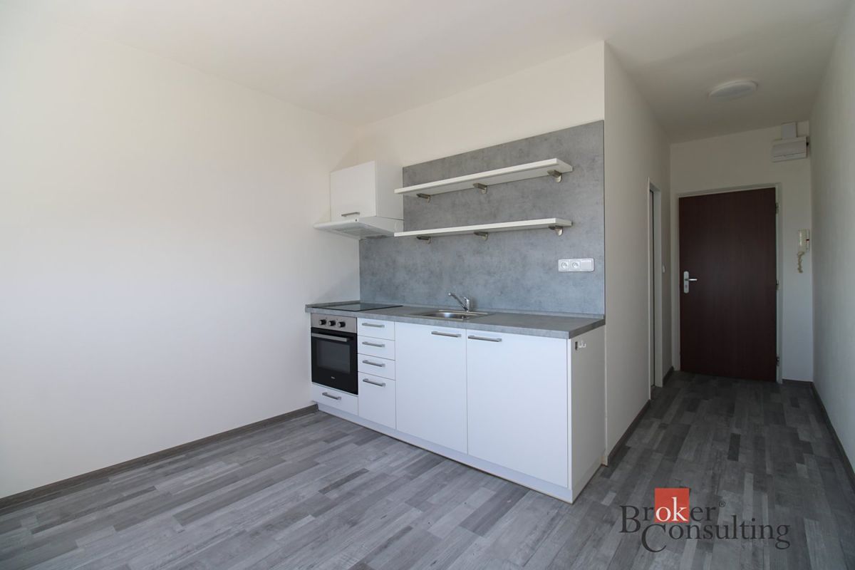 Pronájem bytu 1+1 35 m² – fotografie 2