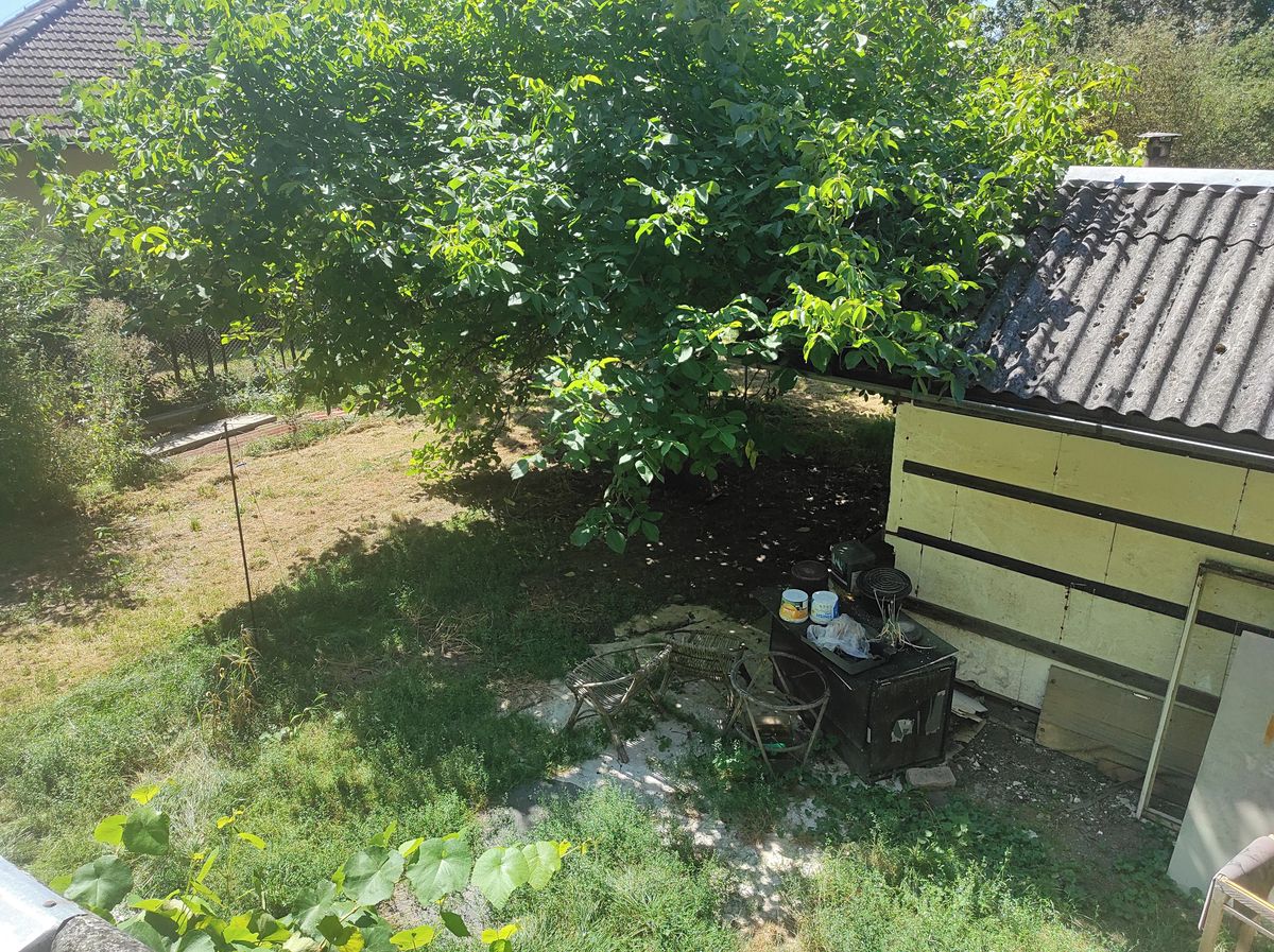 Prodej stavebního pozemku 1623 m² – fotografie 3