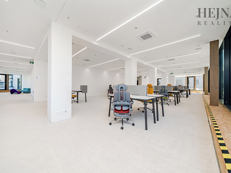 Pronájem komerčního prostoru, 802 m² (7 z 20)