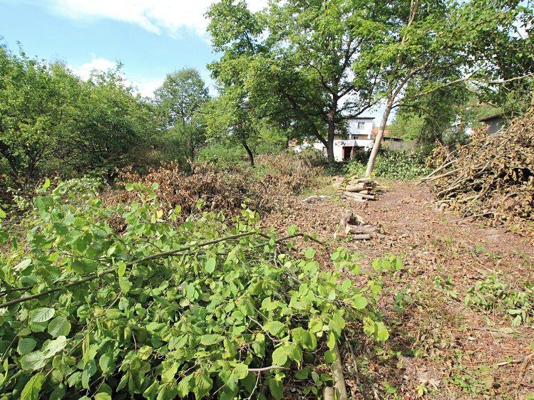 Prodej pozemku, 1 000 m² (8 z 11)
