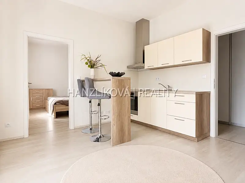 Prodej bytu 2+kk 40 m², České Budějovice – náhled fotky 3