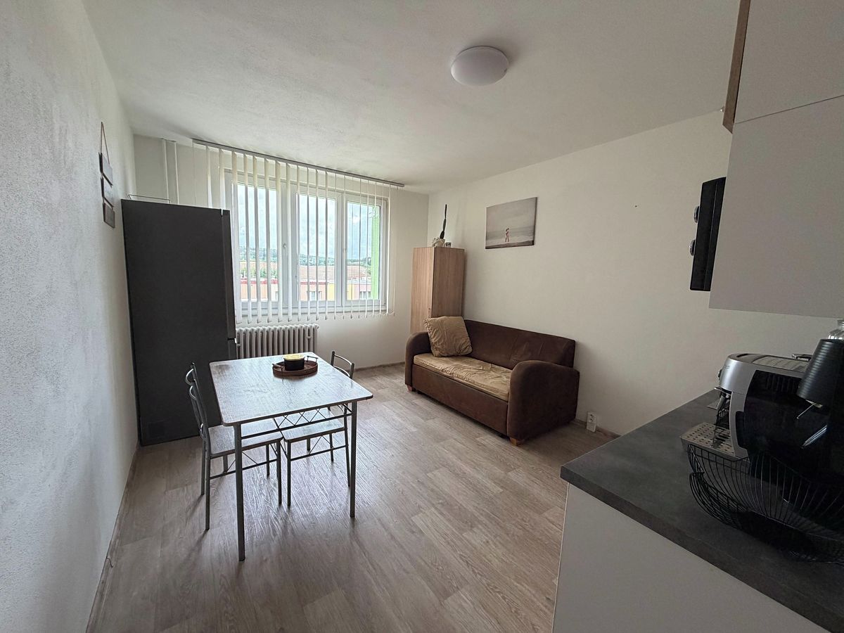 Pronájem bytu 1+1 36 m² – fotografie 4