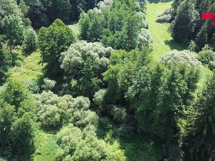 Grundstück zum Kauf, 8.552 m² (11 von 16)