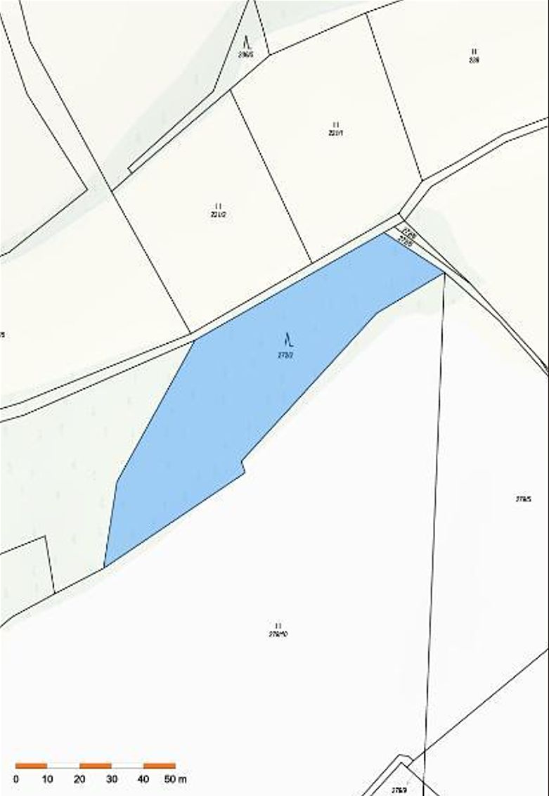 Prodej lesa 3453 m² – fotografie 2