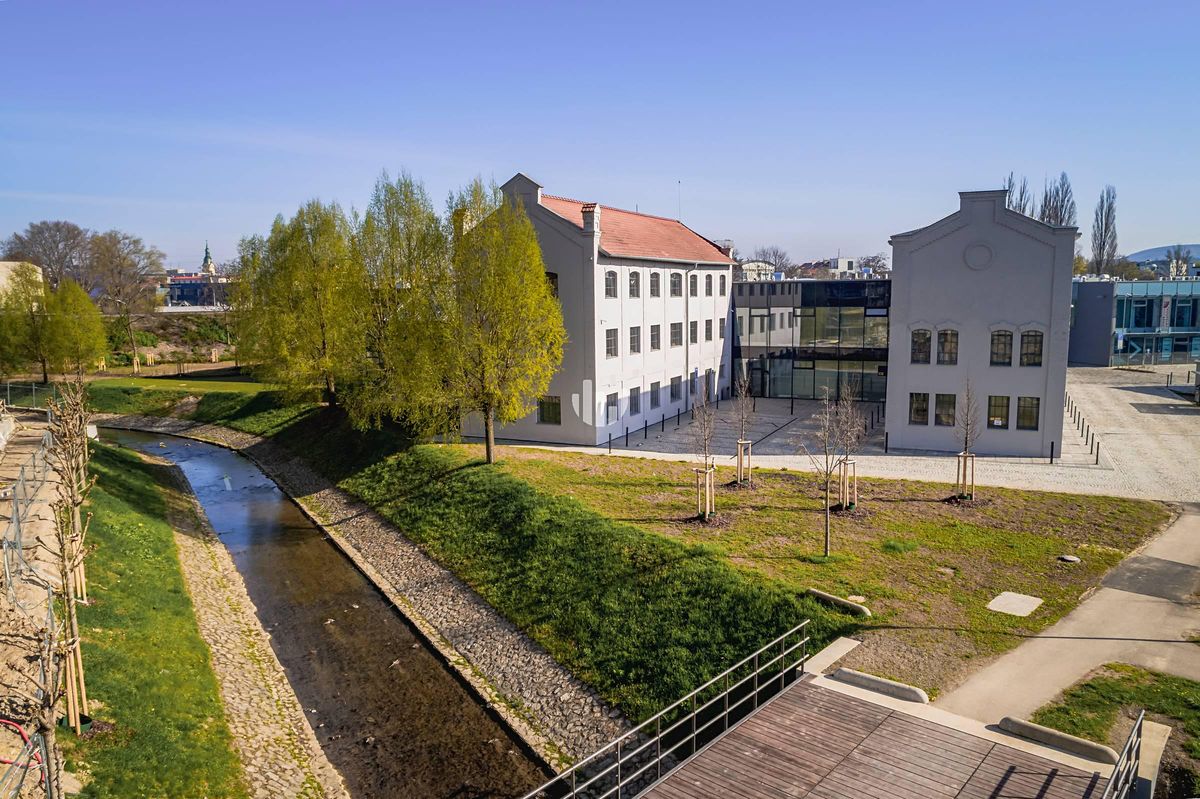 Pronájem kanceláře 143 m² – fotografie 4