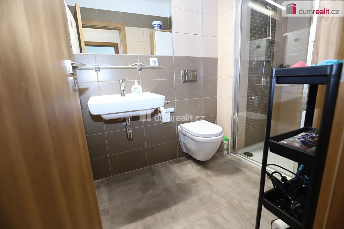 Pronájem bytu 1+1 40 m² – fotografie 4
