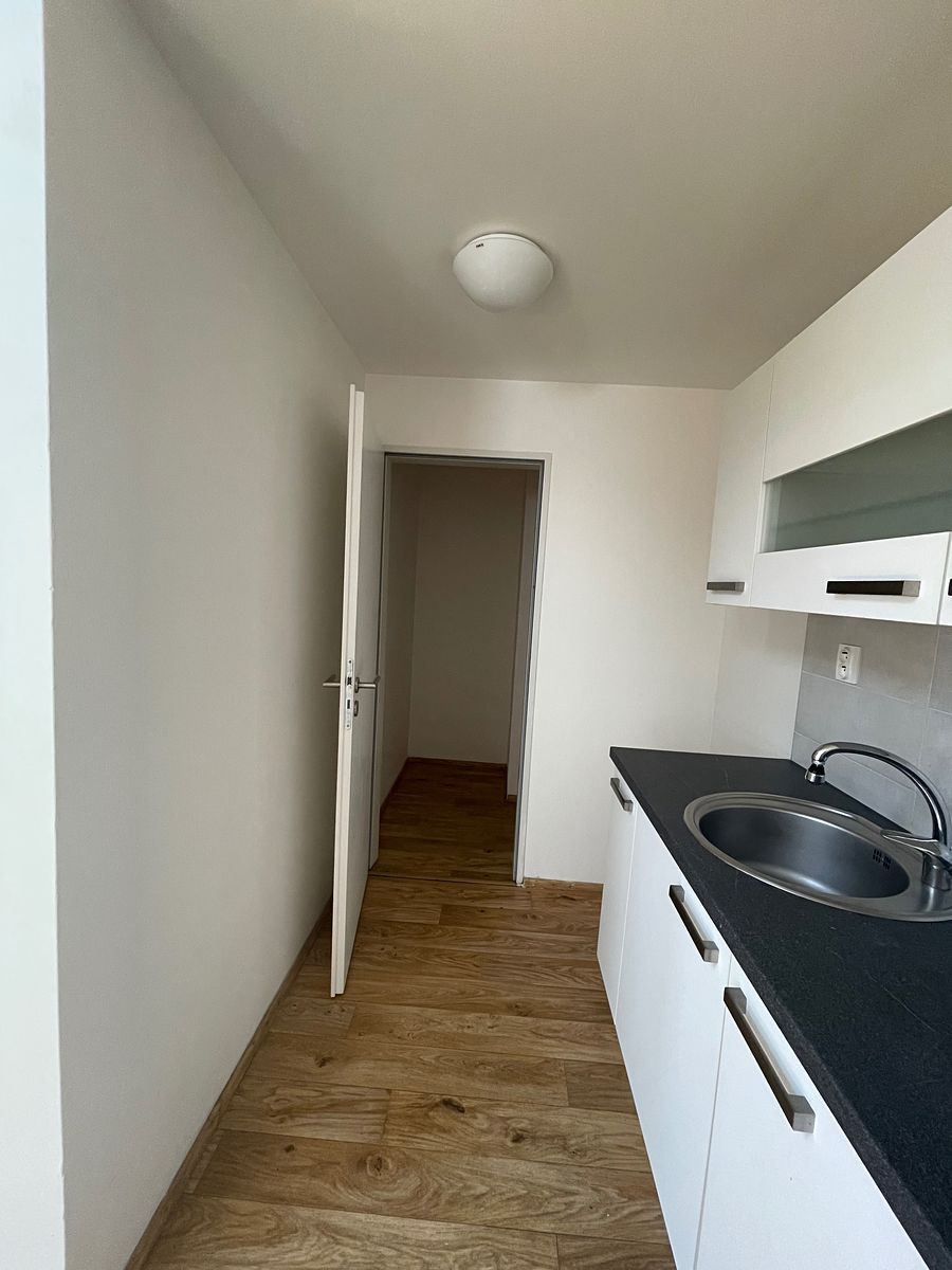 Pronájem bytu 3+kk 90 m² – fotografie 4