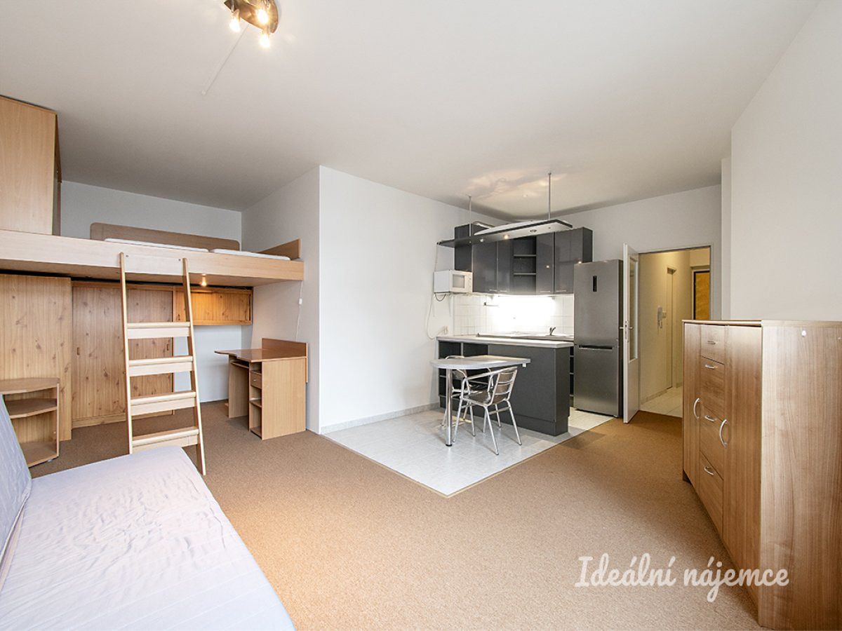 Pronájem bytu 1+kk 41 m² – fotografie 3