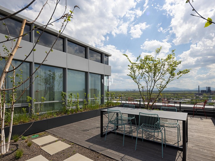 Pronájem komerčního prostoru, 1 105 m² (7 z 10)