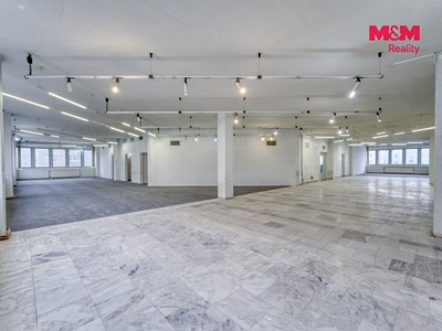 Gewerbefläche zur Miete, 641 m² (2 von 14)