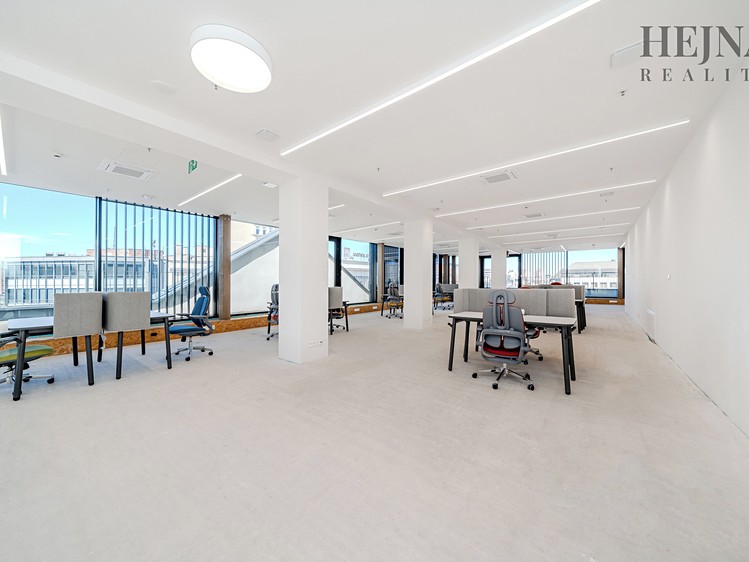 Pronájem komerčního prostoru, 802 m² (9 z 20)