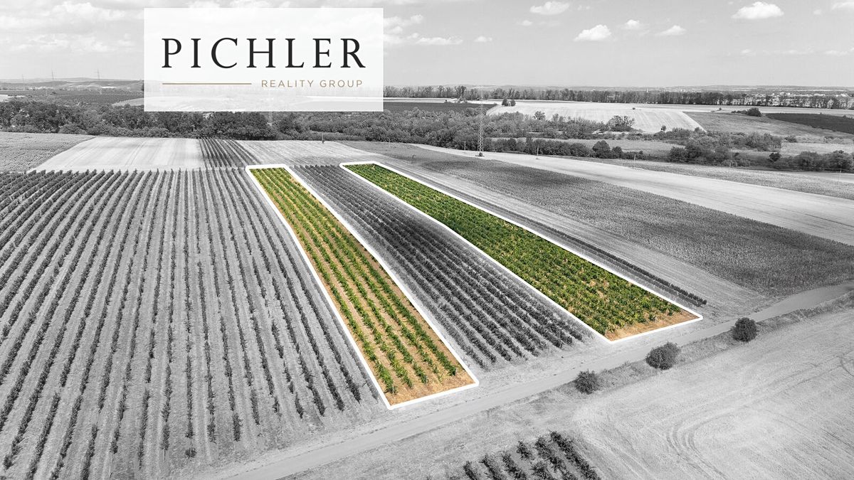 Prodej sadu, vinice 24332 m² – fotografie 2