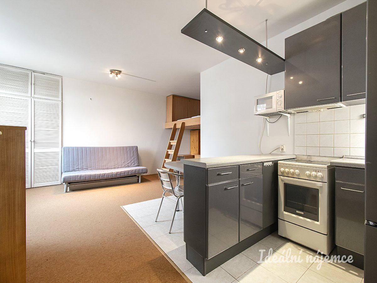 Pronájem bytu 1+kk 41 m²