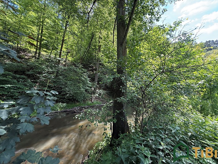 Prodej pozemku, 3 200 m² (4 z 9)