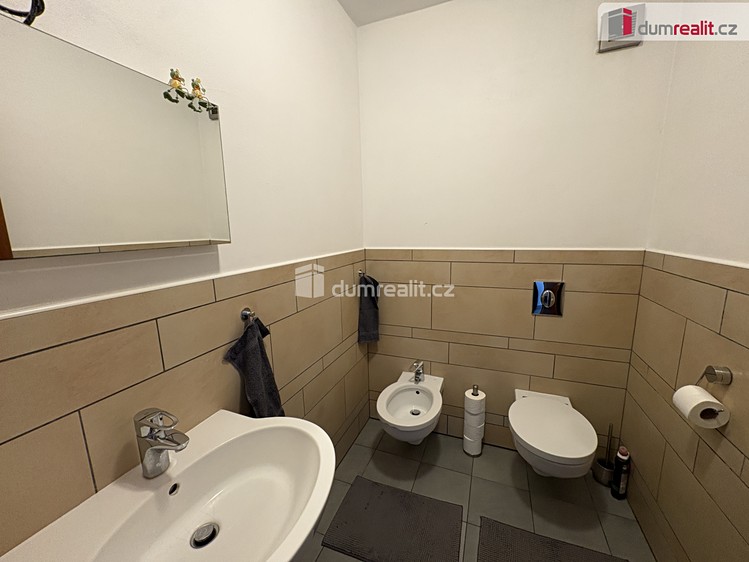 Prodej domu, 208 m² (15 z 28)