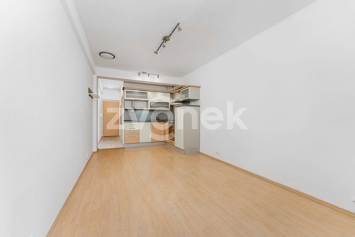 Pronájem bytu 1+kk 27 m² – fotografie 4